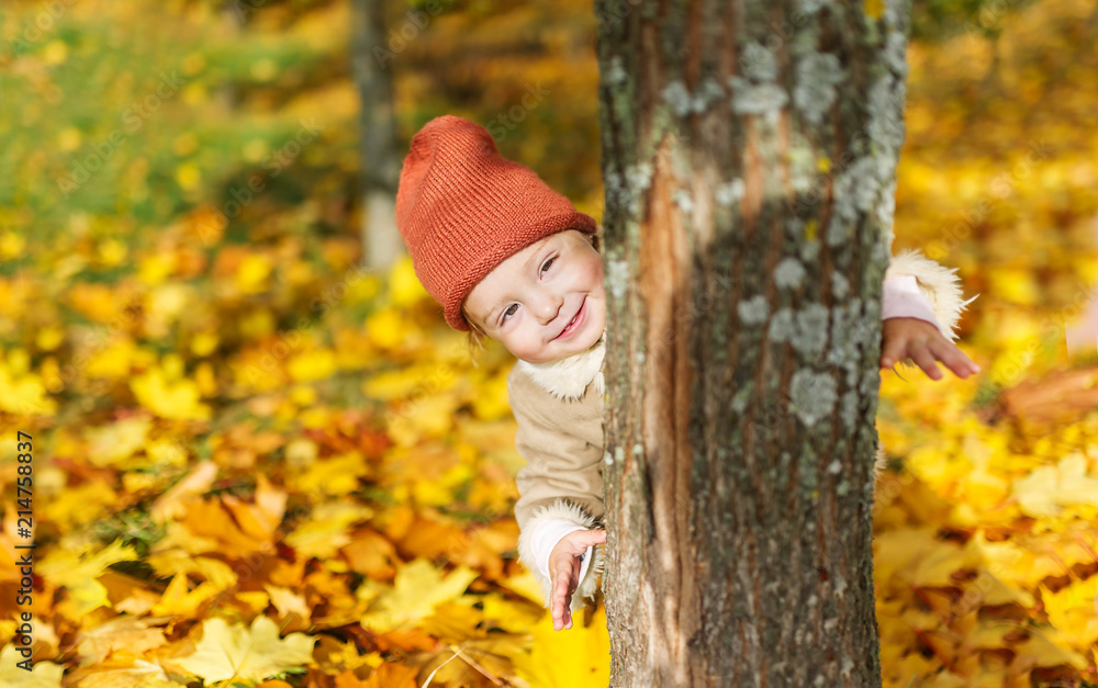 Little girl looking at camera while hiding behind tree trunk in autumn park. Little girl looking at camera while hiding behind tree trunk in autumn park.