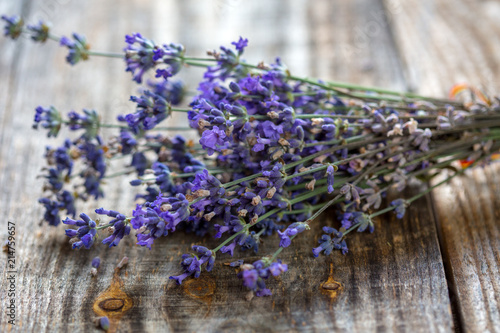 Bouquet of lavender in closeup