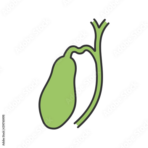 Gallbladder and ducts color icon