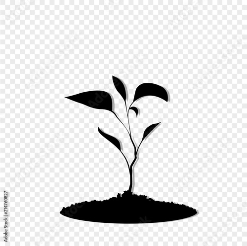 Black silhouette of sprouting plant in the soil isolated