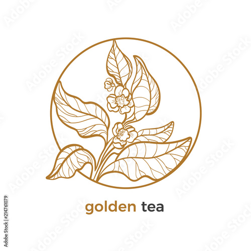 Vector sticker of tea tree. Logo with leaves, flower