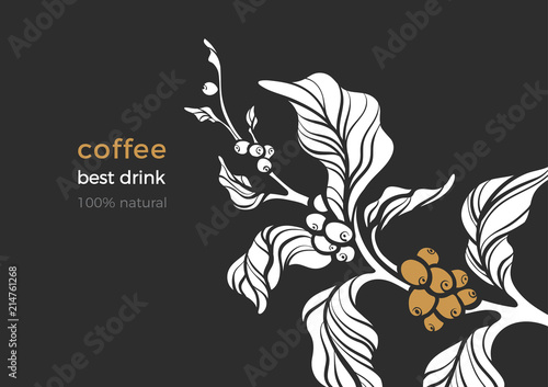 Nature vector banner of coffee branch, leaves, bean.