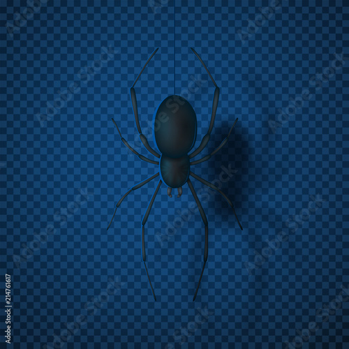 Black spider isolated on transparent backdrop. Top view on realistic insect. Vector illustration.
