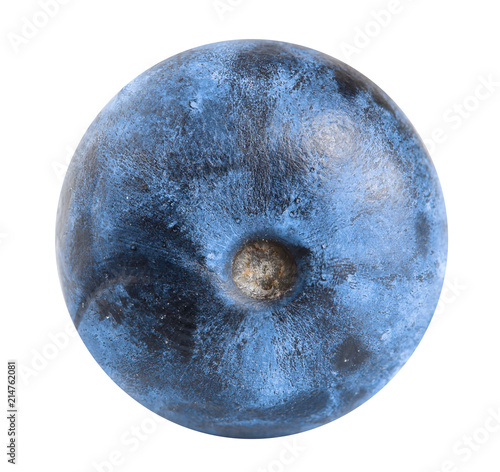 Single fresh blueberry isolated on white background