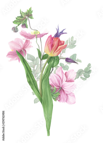 Bouquet of flowers: clematis, anemones, tulip and branches of eucalyptus, watercolor painting