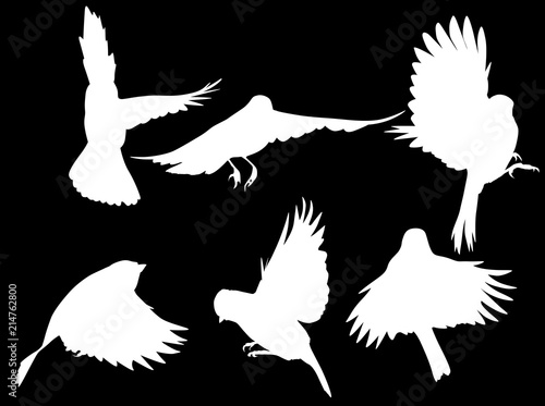 set of six black flying tits on black