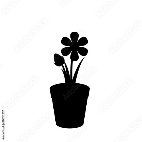 Black silhouette of flower in the pot isolated on white
