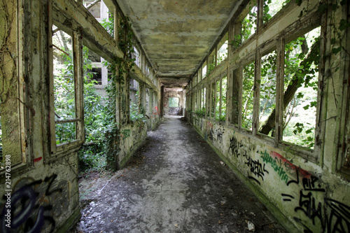 Obraz na plátně Aincourt - Sanatorium Abandonné