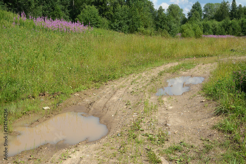 
Off-road at the edge of the forest 
