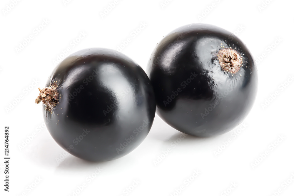 two black currant isolated on white background two black currant isolated on white background