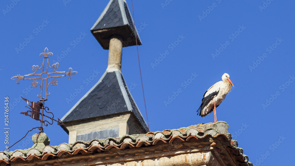 Cigüeña en un campanario en un pueblo español