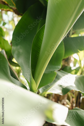 Botanischer Garten Greifswald