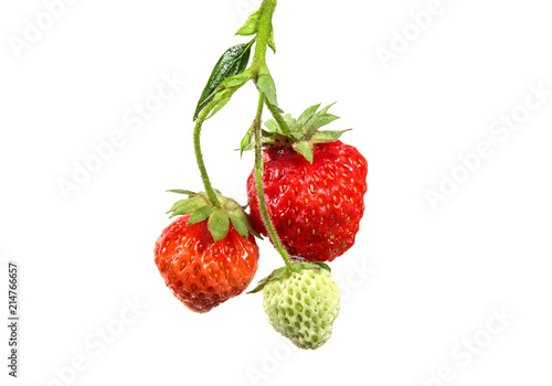 Fototapeta Naklejka Na Ścianę i Meble -  bunch of strawberry on isolated white background