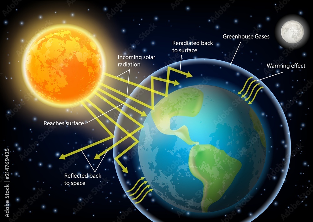 Greenhouse Effect Diagram Vector Illustration Vector De Stock Adobe Stock greenhouse-effect-diagram-vector-illustration-vector-de-stock-adobe-stock