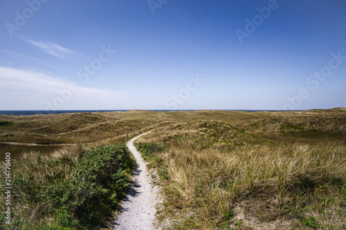 Small winding road in the dunes of northern Netherlands