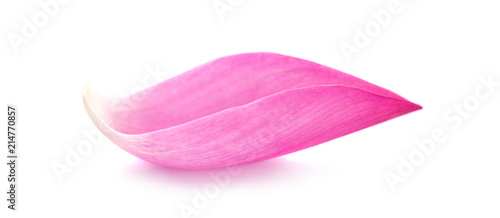 Pink lotus lobes on a white background © sucharat
