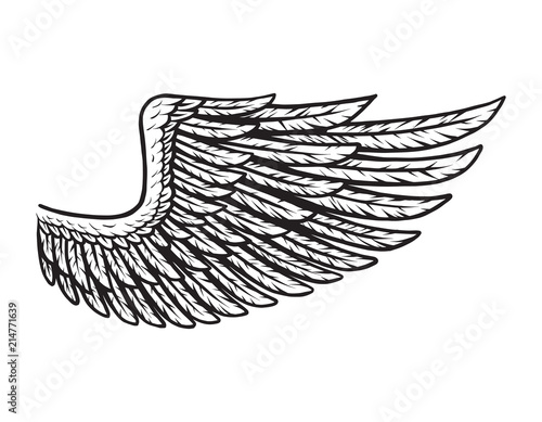 Vintage bird wing monochrome concept