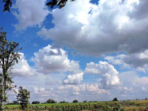 sky of a cloud