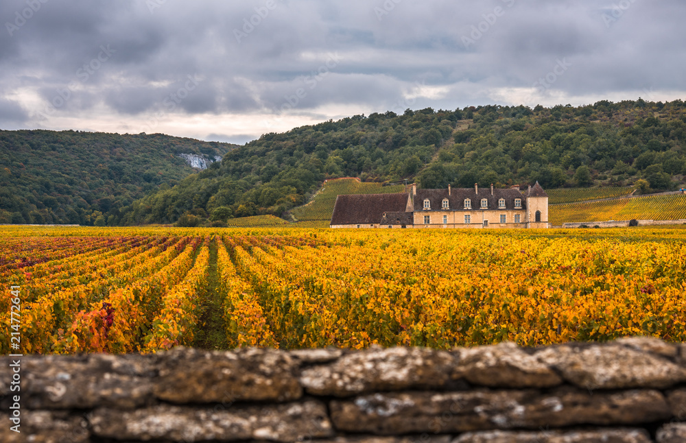 Chateau with vineyards in the autumn season, Burgundy, France
