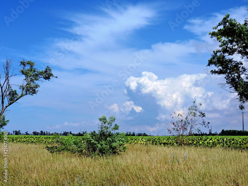 sky