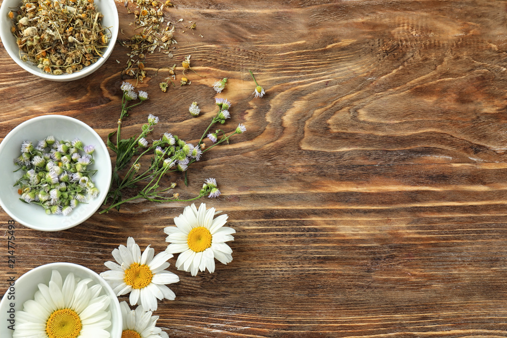 Bowls with beautiful fresh and dry chamomiles on wooden background Bowls with beautiful fresh and dry chamomiles on wooden background