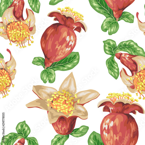Fototapeta Naklejka Na Ścianę i Meble -  Blooming fruit flower of pomegranate tree in seamless pattern