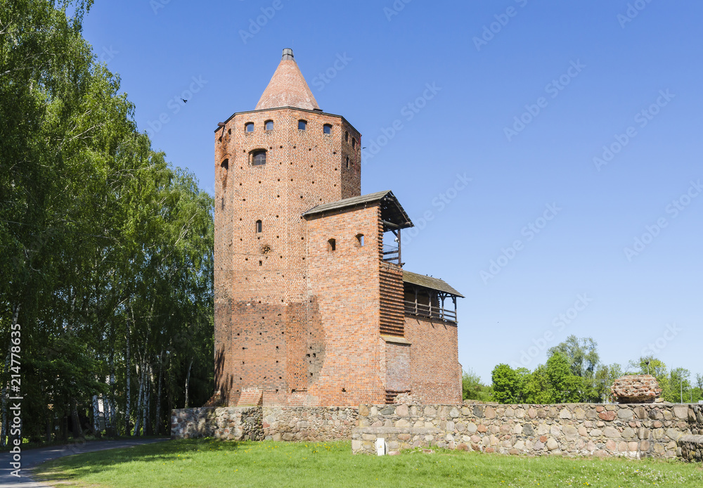 Rawa Mazowiecka, ruiny zamku książąt mazowieckich