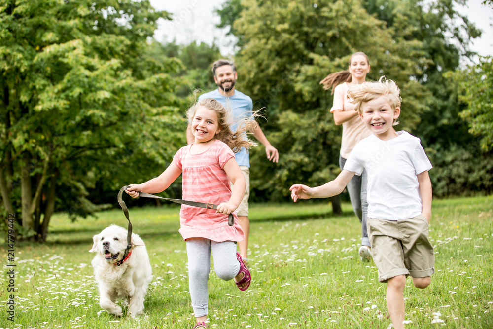 Fototapeta premium Junge und Mädchen mit Hund im Park