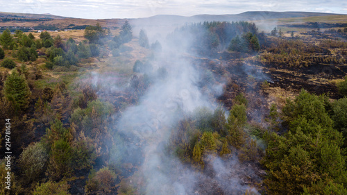 Aerial drone view of a wildfire in a grass and forested area