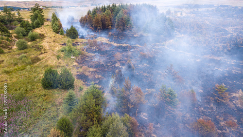 Obraz na plátně Aerial drone view of a wildfire in a grass and forested area