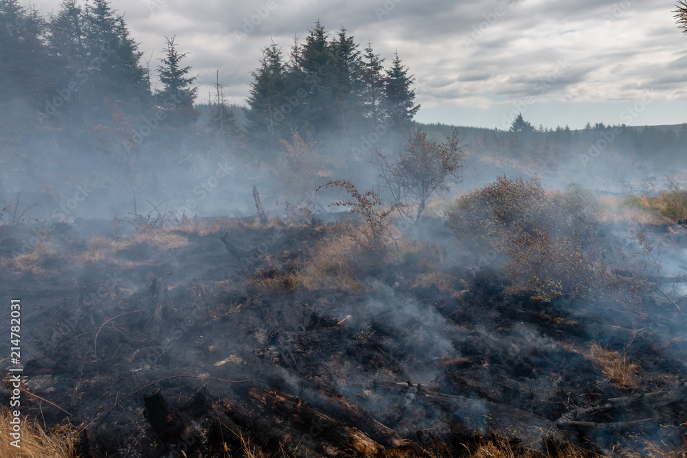 A smouldering grass fire next to a forest on a Welsh mountain
