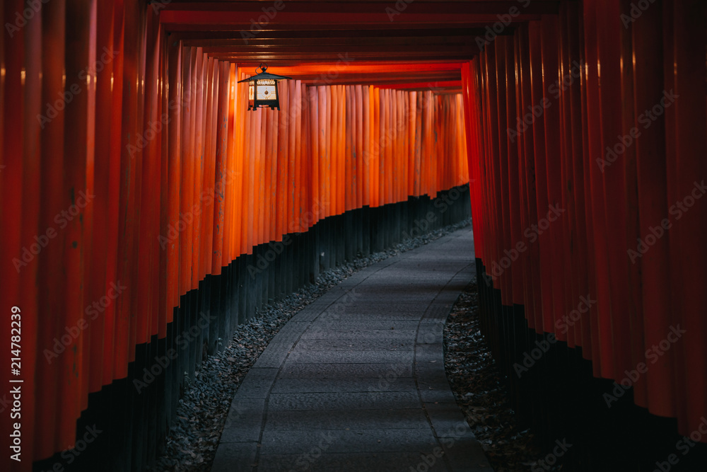 Fototapeta premium Pathway orii gates at Fushimi Inari Shrine at night and rain Kyoto, Japan.