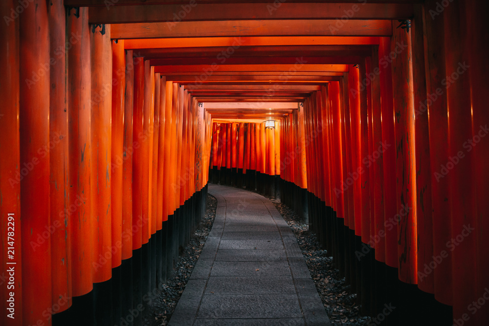 Fototapeta premium Pathway orii gates at Fushimi Inari Shrine at night and rain Kyoto, Japan.