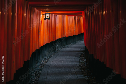 Pathway orii gates at Fushimi Inari Shrine at night and rain Kyoto, Japan.