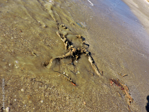 sea