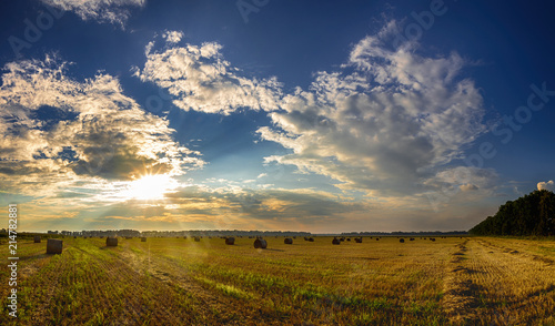 Straw bales in fields farmland with blue cloudy sky at harvesting time.