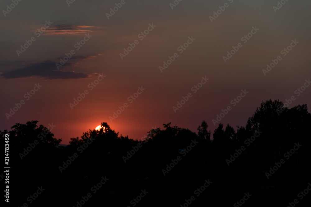 sunset / sunrise, black trees in the foreground sunset / sunrise, black trees in the foreground