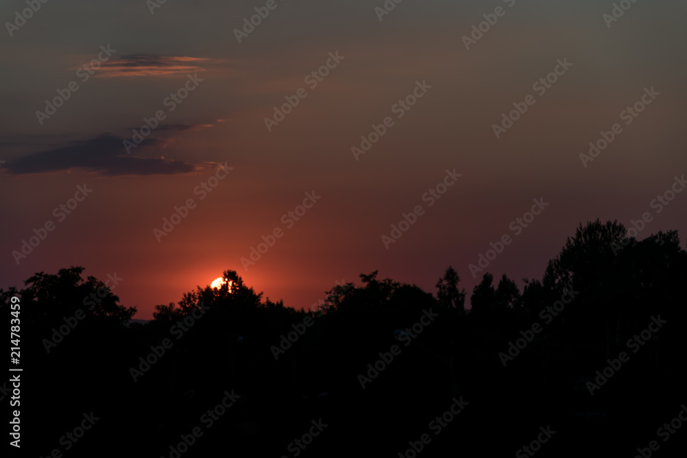 sunset / sunrise, black trees in the foreground