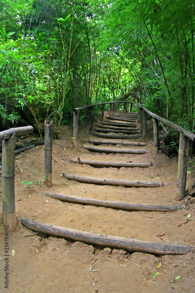 The stair built from bamboo in the forest