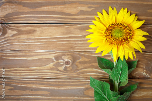 Beautiful sunflowers on a wooden table. View from above. Background with copy space.