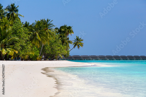 Fototapeta Naklejka Na Ścianę i Meble -  Strand mit weißem Sand und Türkises Wasser Malediven Tropen Bahamas Urlaub 