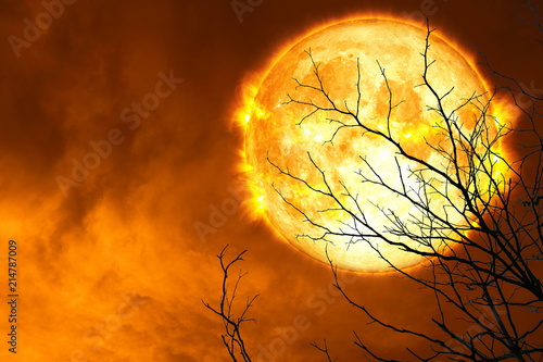 Explosive blood moon back silhouette dry tree and night sky