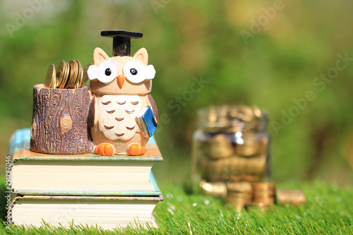 Owl in graduation hat on a books and stack of coins money in the glass bottle on natural green background, Saving money for education concept photo