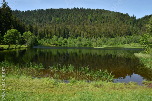 Sankenbachsee beim Baiersbronner Sankenbachsteig im Schwarzwald; Genießerpfad; photo