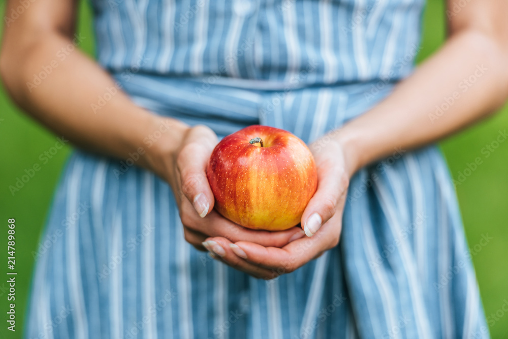 partial view of girl holding one ripe apple in hands partial view of girl holding one ripe apple in hands