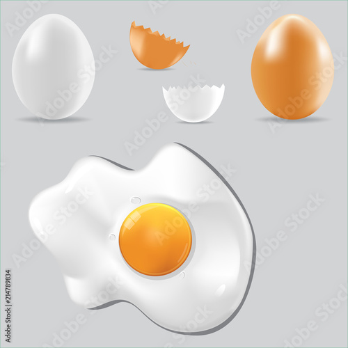 Egg vector healthy food set