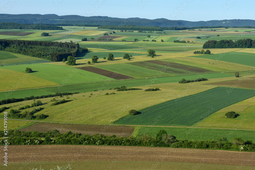 Landschaft auf der Schwaebischen Alb; Aecker; Wiesen; Felder; Wald;