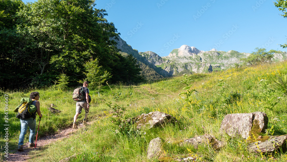 Two hikers walking in  Pyrenees mountains