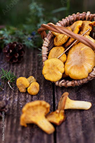 Mushrooms chanterelle in the basket