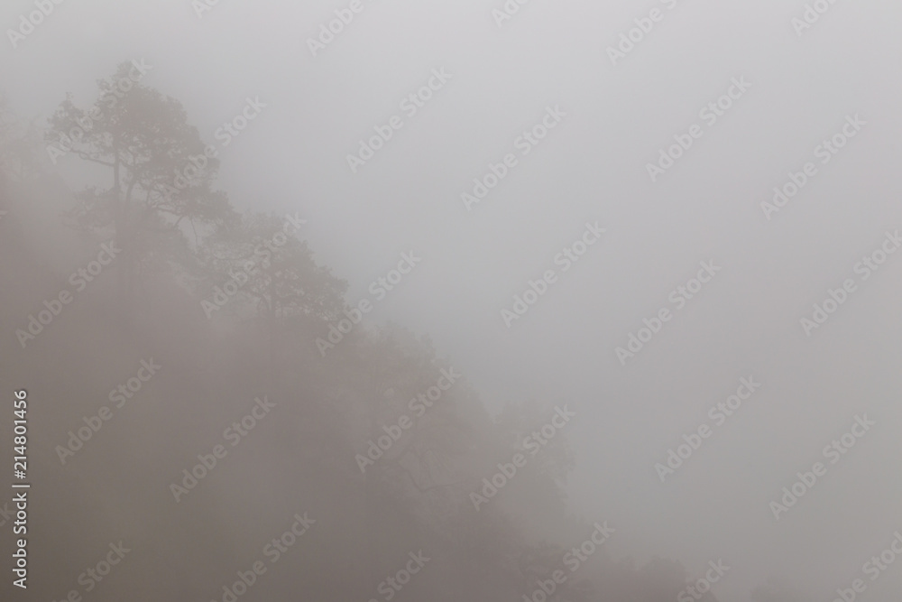 Foto Dense fog in mountains
